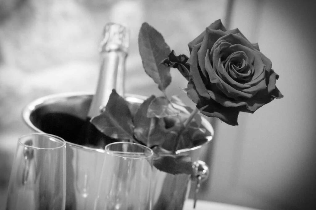 Dream - Le Romantique * Ger (Manche)
